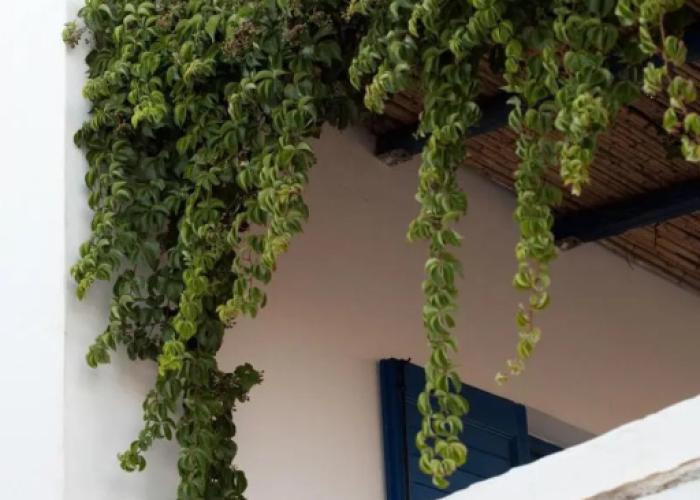 Antonina Hotel Apartments