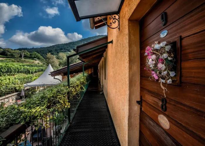 Wine & Art Relais Vallombrosa