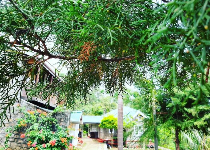 Kallycave Eco Lodge