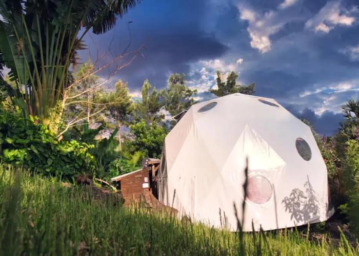 Bubble Dome Village- Glamping