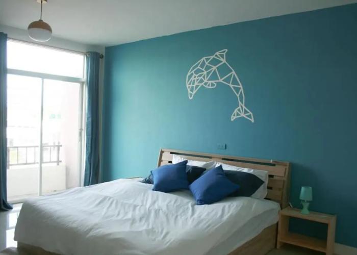 Turtle Rooms