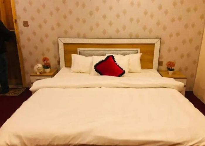 Green Guest House Altit Hunza