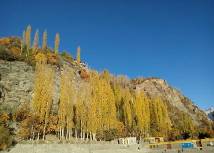 Northern Sapphire Hunza