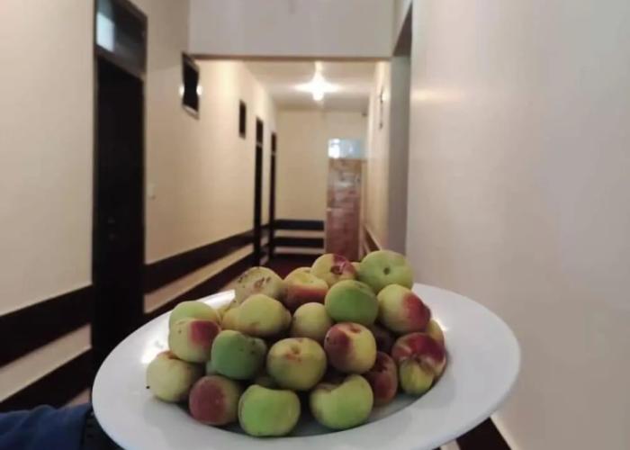 Hunza Roof Hotel