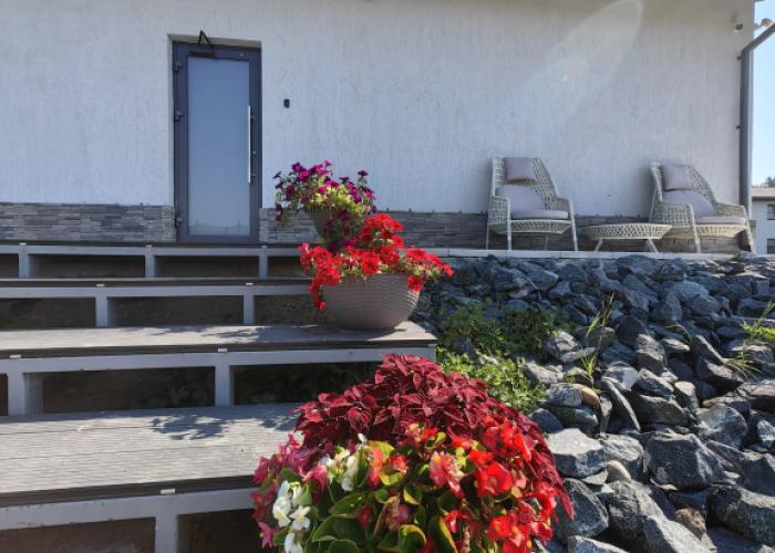Pavola Guest house