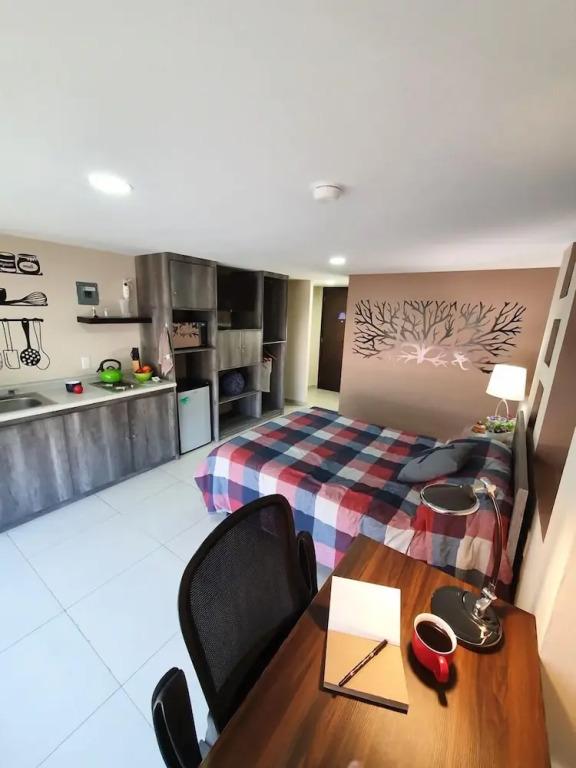 S01 Suite 2 min del TEC Wifi Terraza