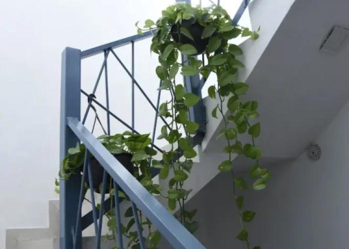 Hotel & Suites Punto Oriente