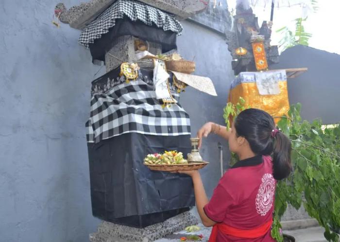 Master Homestay