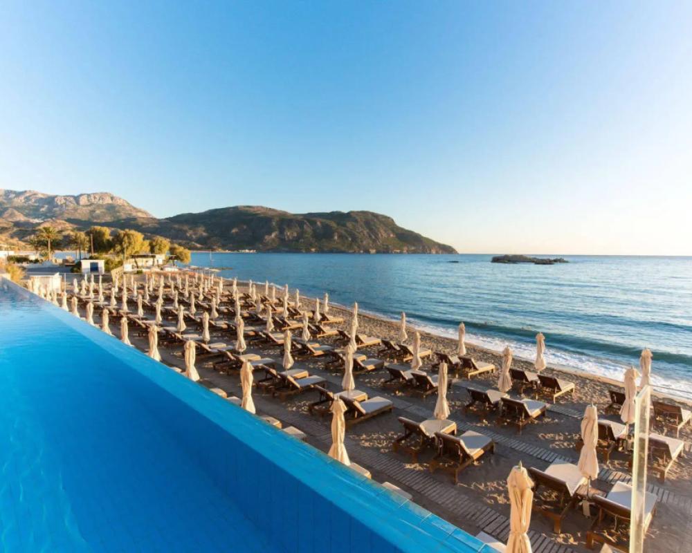 фото Alimounda Mare