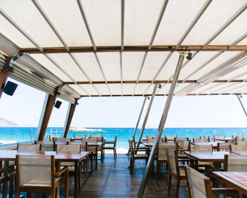 фото Alimounda Mare