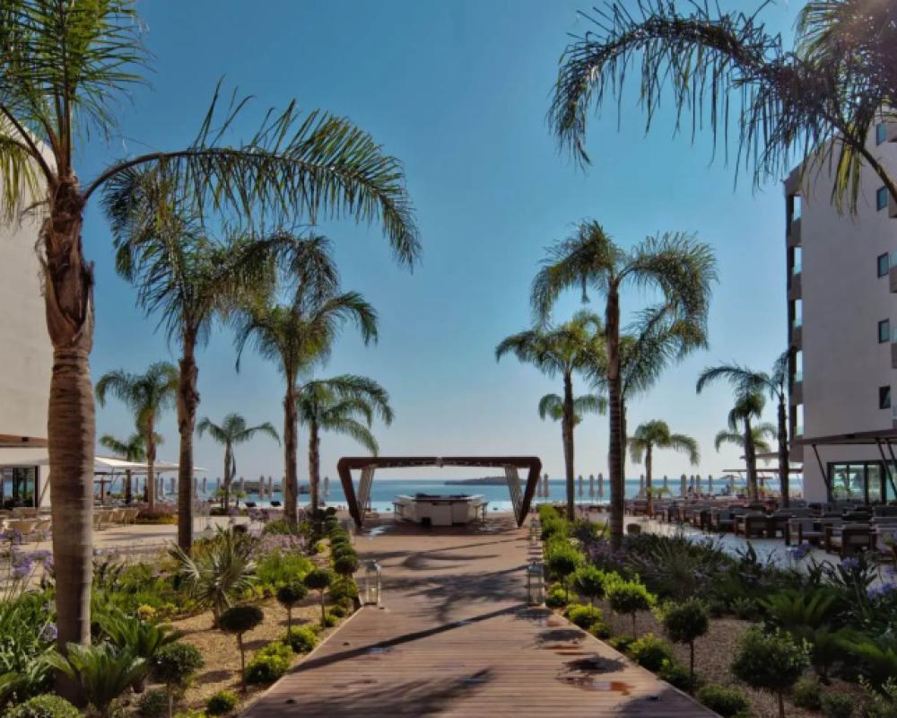 фото Alimounda Mare
