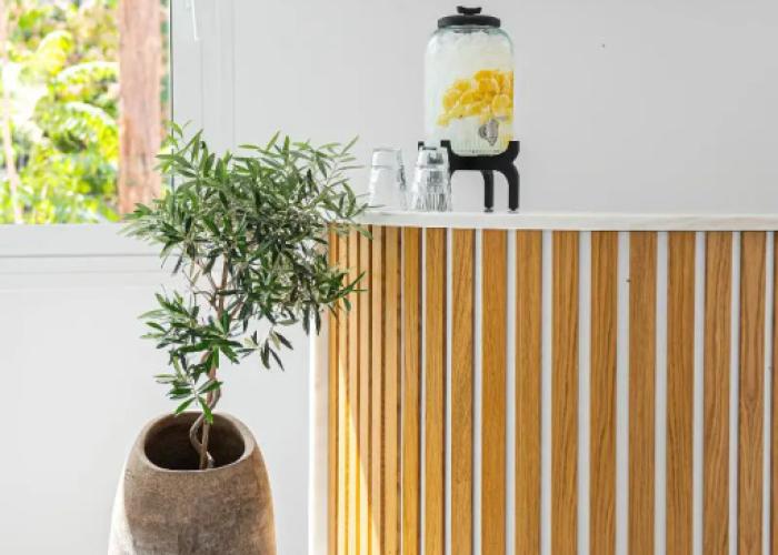 Olive Boutique Hotel