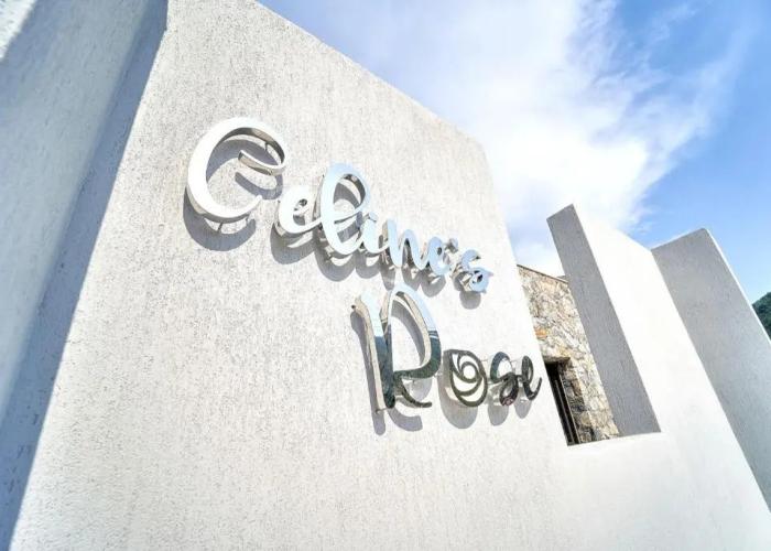 Celine’s Rose