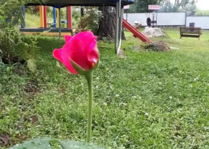 Skazka Guest house