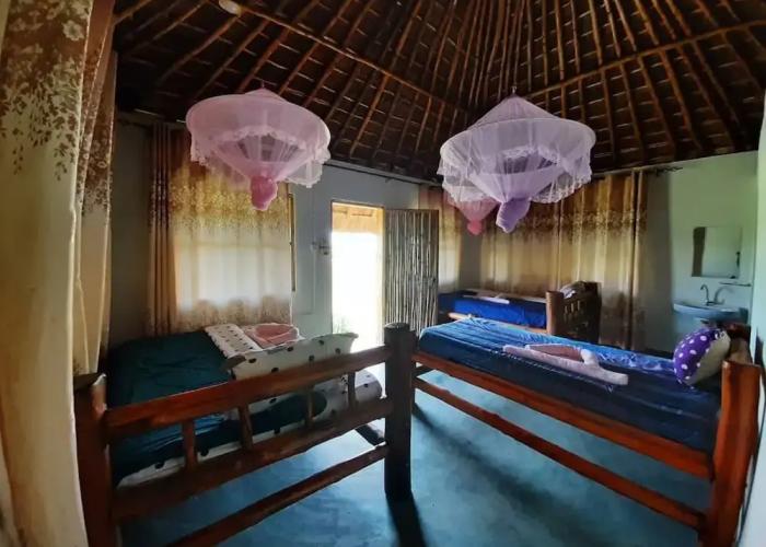 Tangi Safaris Lodge