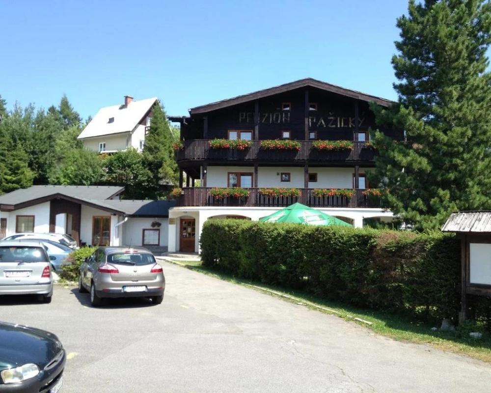 Penzion Pazicky Hotel