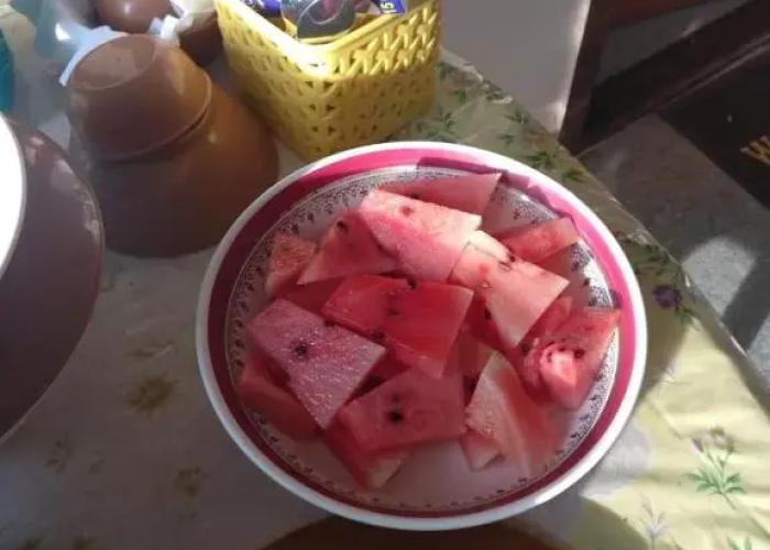 Cordel Farms Mangalore