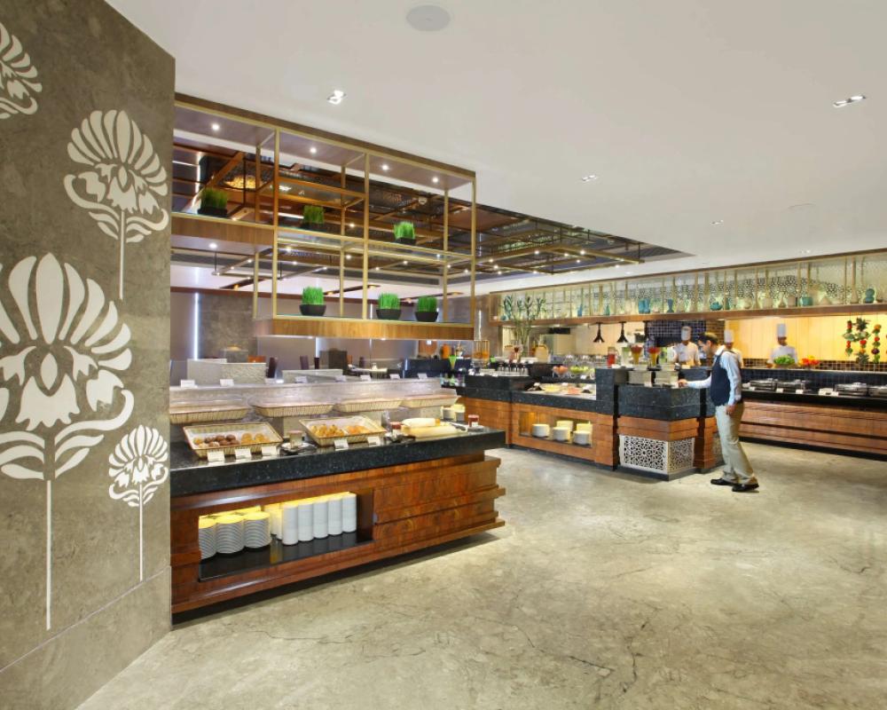 фото Radisson Blu Jammu