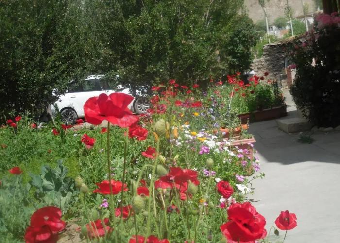 Sangto Green Guest House