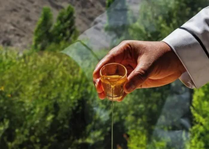 Hotel Ladakh Retreat