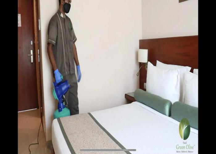 Hotel Green Olive