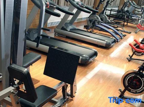 Plaza Holiday Inn Jiayuguan