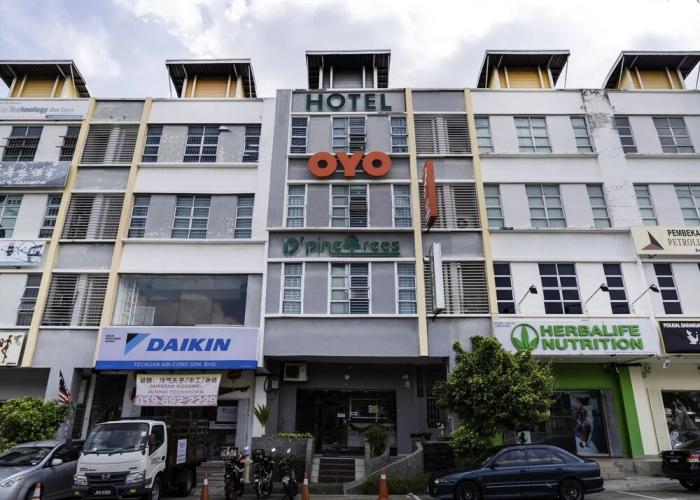 D Pinetrees Hotel