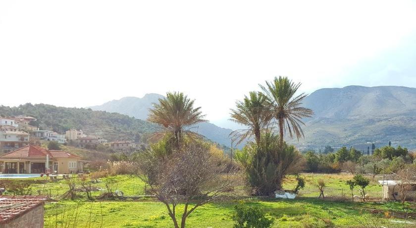 фото Agroktima