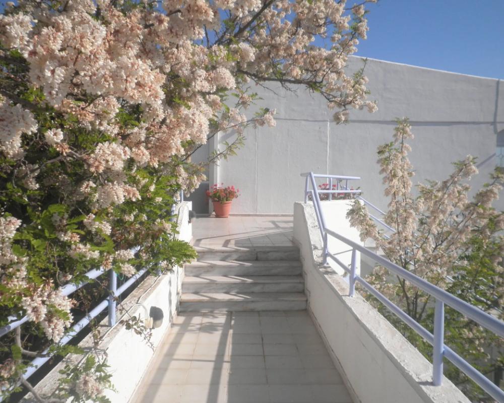 фото Seafront Studios & Apartments