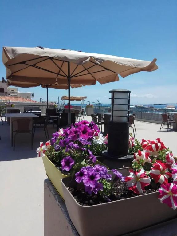 фото City Point Chios