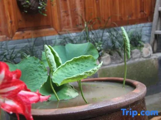Xiangyunge Country Homestay