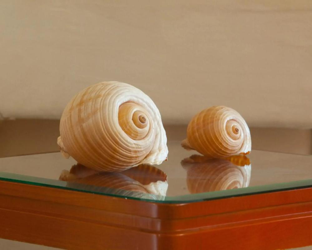 фото Pavlos Hotel