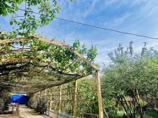 Kashgar Silk Road Simple Homestay