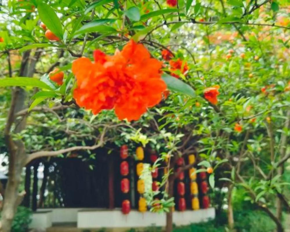 фото Ganjiang