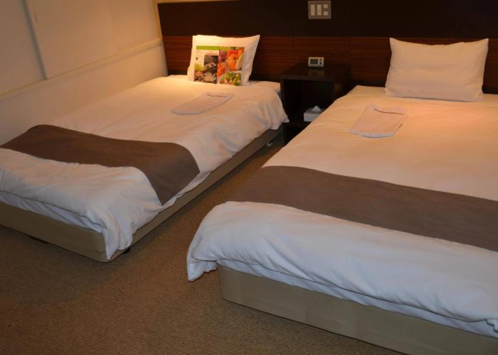 Art Hotel Niigata Station