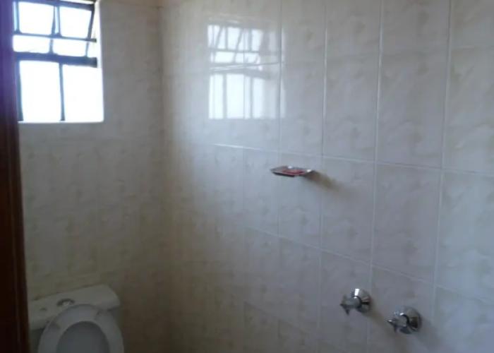 Cawaal Hotels