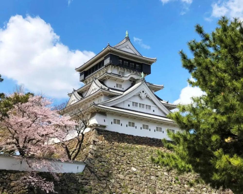 фото Toyoko Inn Kokura Station Shinkan Line