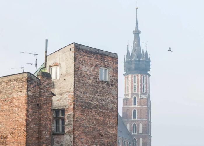 Novum House Tomasza