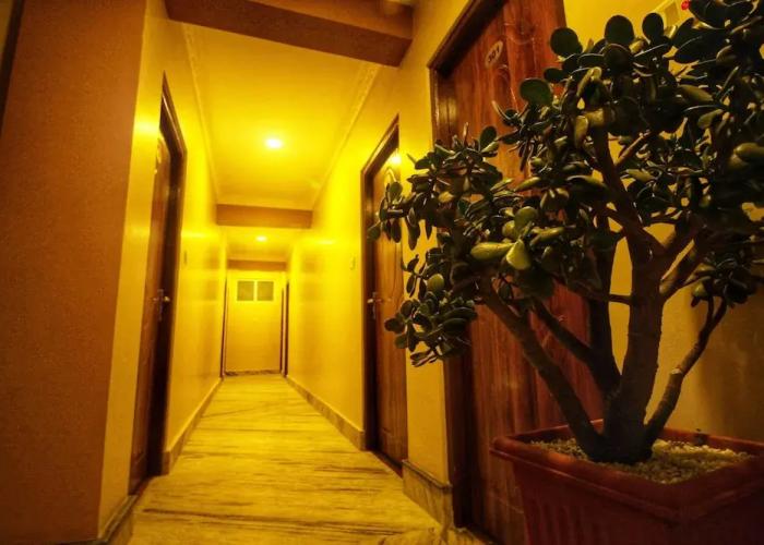 Himalayan Sherpa INN
