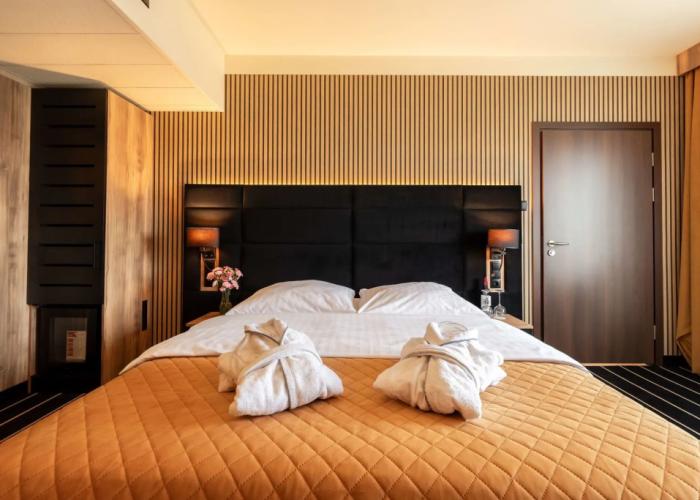 Park Hotel Diament Katowice