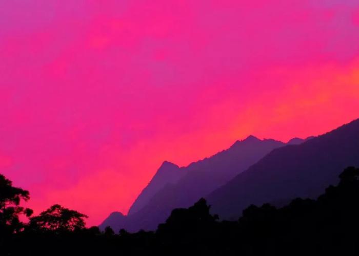 Yakushima Cottage Morino Fairy