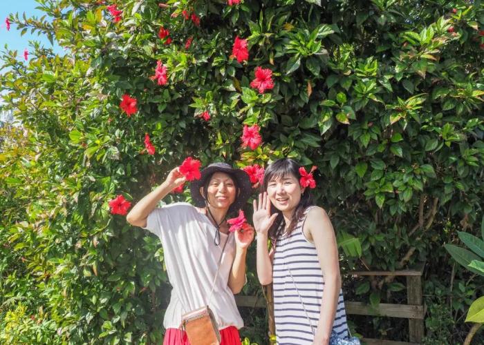 Yakushima Cottage Morino Fairy