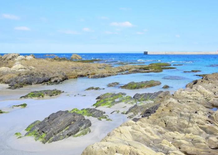 Yakushima Guesthouse Suginoko