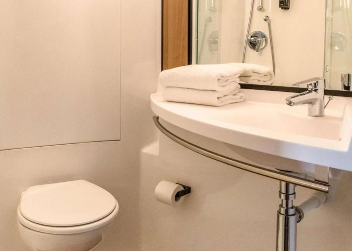 ibis Albi