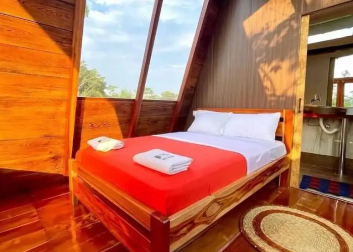 Hotel Magic Paradise