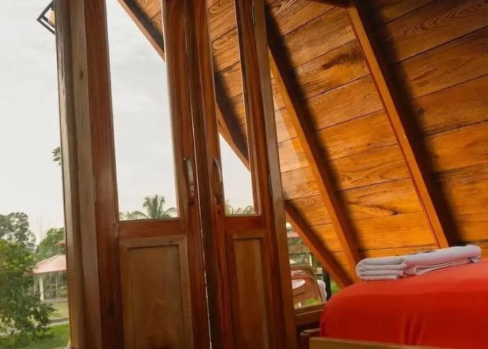 Hotel Magic Paradise