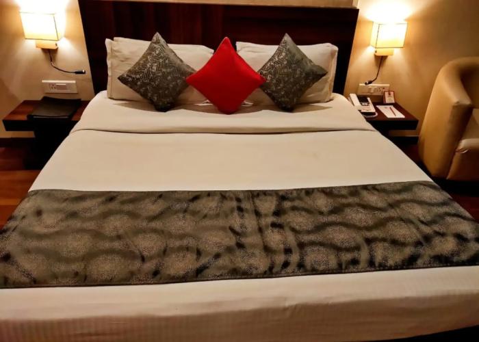 Sapna Clarks Inn
