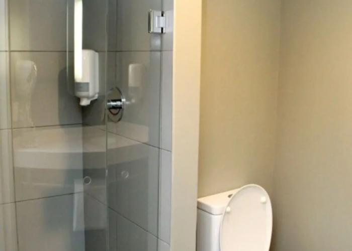 Ibis Los Mochis
