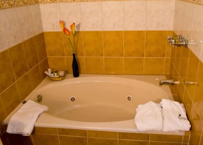 Hotel Podocarpus
