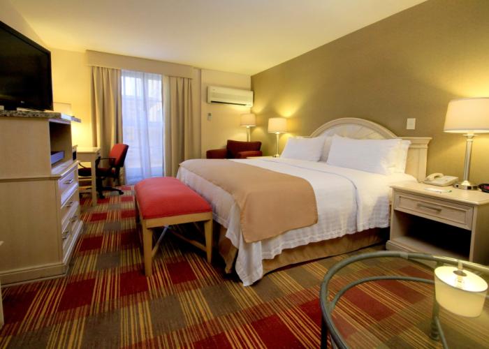 Holiday Inn Monclova by IHG